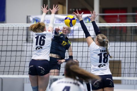 Brøndby VK - Gentofte Volley - Volleyligaen 2025-2026