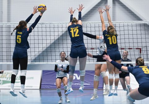 Brøndby VK - Gentofte Volley - Volleyligaen 2025-2026