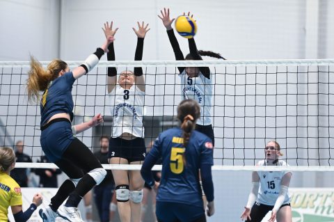 Brøndby VK - Gentofte Volley - Volleyligaen 2025-2026