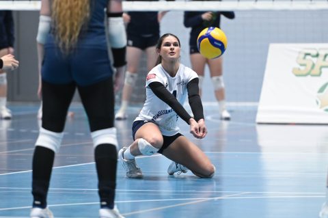 Brøndby VK - Gentofte Volley - Volleyligaen 2025-2026