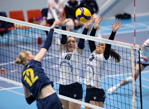 Brøndby VK - Gentofte Volley - Volleyligaen 2025-2026