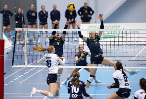 Brøndby VK - Gentofte Volley - Volleyligaen 2025-2026