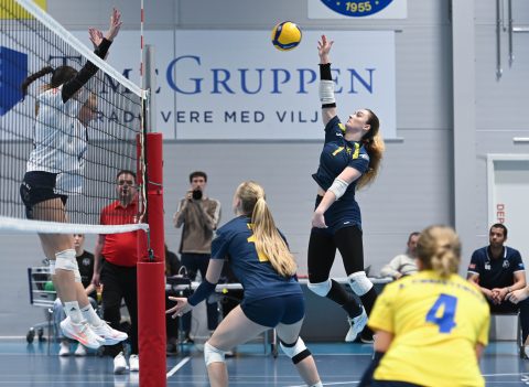 Brøndby VK - Gentofte Volley - Volleyligaen 2025-2026