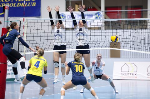 Brøndby VK - Gentofte Volley - Volleyligaen 2025-2026