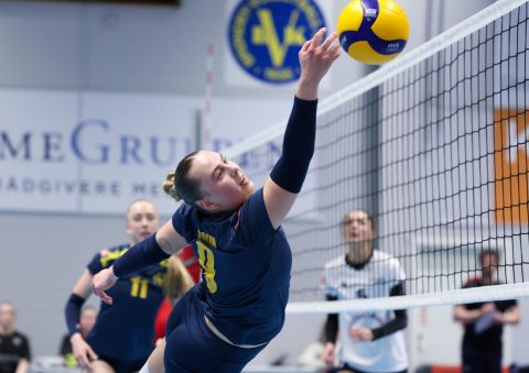 Brøndby VK - Gentofte Volley - Volleyligaen 2025-2026