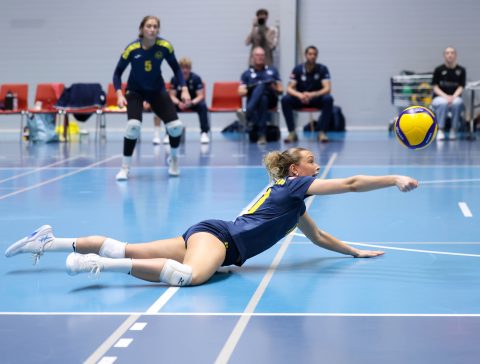 Brøndby VK - Gentofte Volley - Volleyligaen 2025-2026