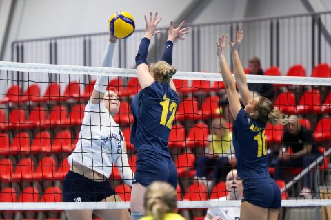 Brøndby VK - Gentofte Volley - Volleyligaen 2025-2026