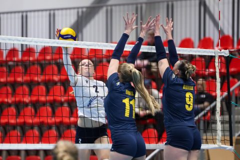 Brøndby VK - Gentofte Volley - Volleyligaen 2025-2026