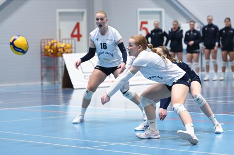 Brøndby VK - Gentofte Volley - Volleyligaen 2025-2026
