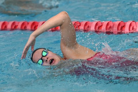 Swimming - Danish Open 2026