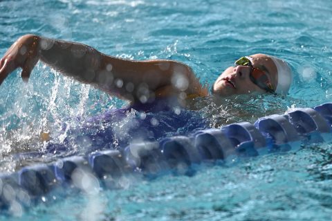 Swimming - Danish Open 2026