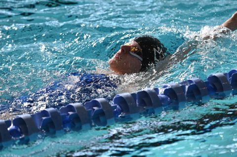Swimming - Danish Open 2026