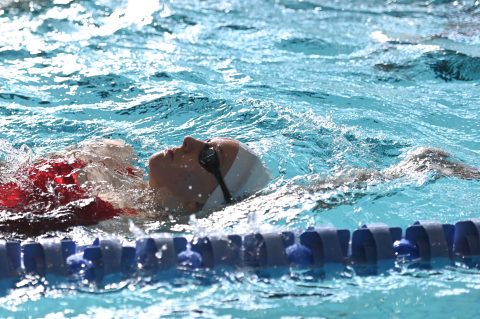 Swimming - Danish Open 2026