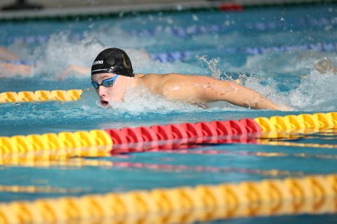 Swimming - Danish Open 2026