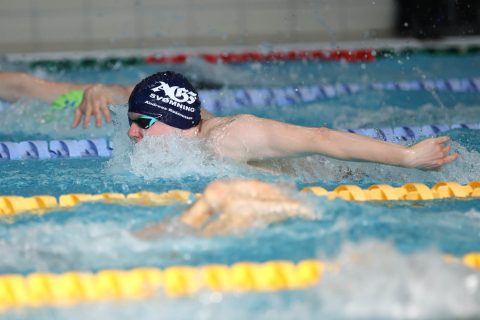 Swimming - Danish Open 2026