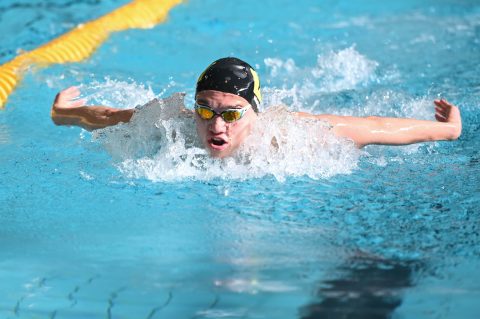 Swimming - Danish Open 2026