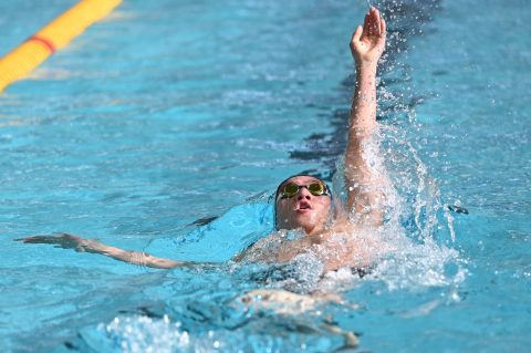 Swimming - Danish Open 2026