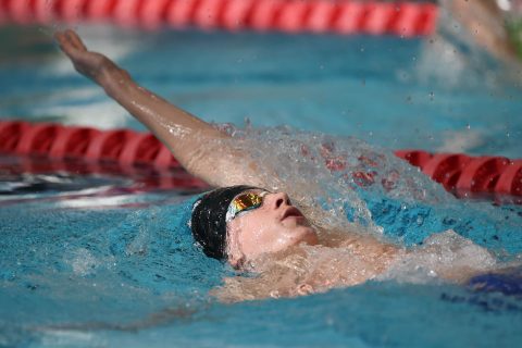 Swimming - Danish Open 2026