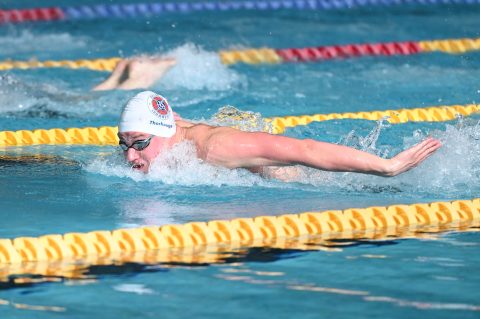 Swimming - Danish Open 2026