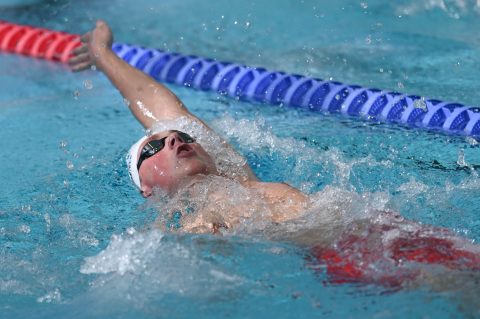 Swimming - Danish Open 2026