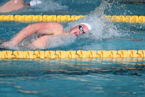 Swimming - Danish Open 2026