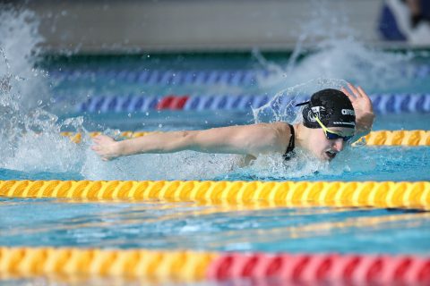 Swimming - Danish Open 2026