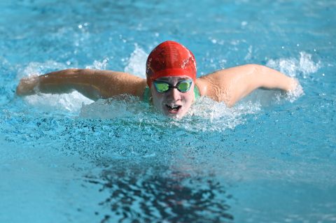 Swimming - Danish Open 2026