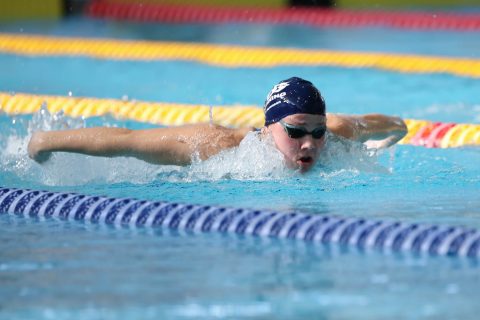 Swimming - Danish Open 2026