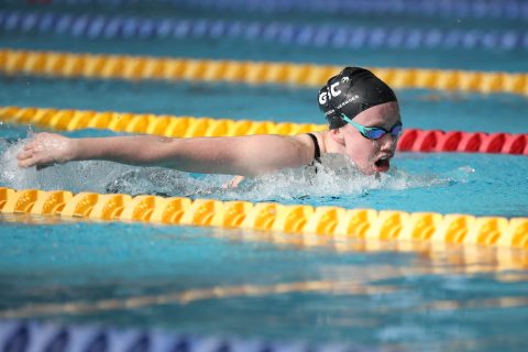 Swimming - Danish Open 2026