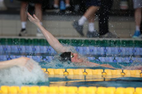 Swimming - Danish Open 2026