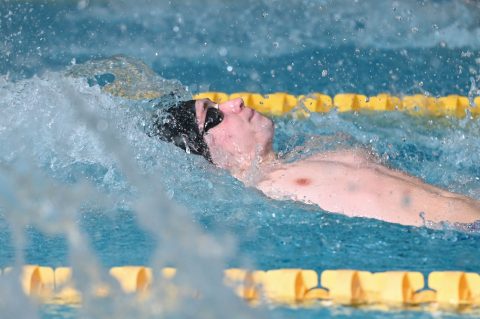 Swimming - Danish Open 2026