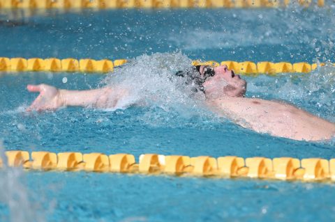 Swimming - Danish Open 2026