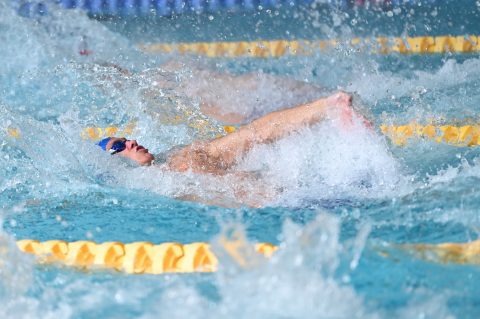 Swimming - Danish Open 2026