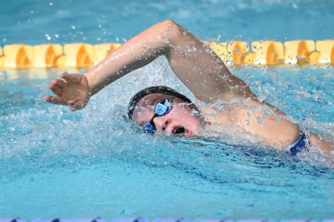 Swimming - Danish Open 2026