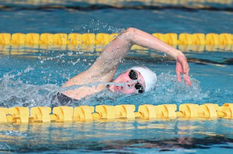 Swimming - Danish Open 2026