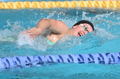 Swimming - Danish Open 2026