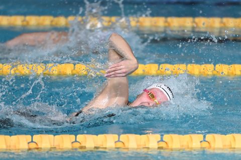Swimming - Danish Open 2026