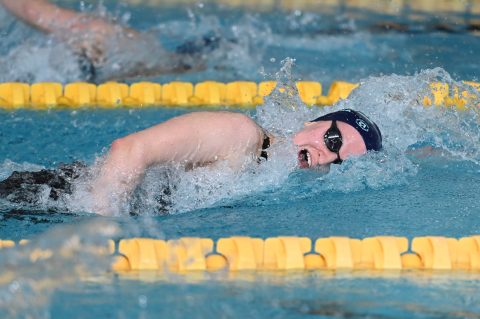 Swimming - Danish Open 2026