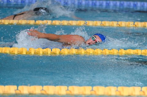 Swimming - Danish Open 2026