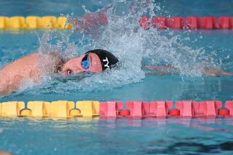 Swimming - Danish Open 2026