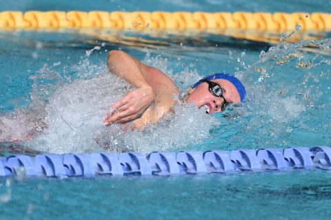 Swimming - Danish Open 2026
