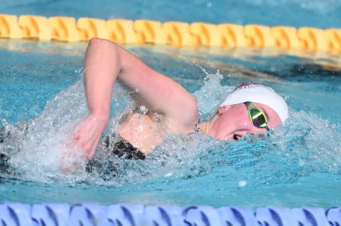 Swimming - Danish Open 2026