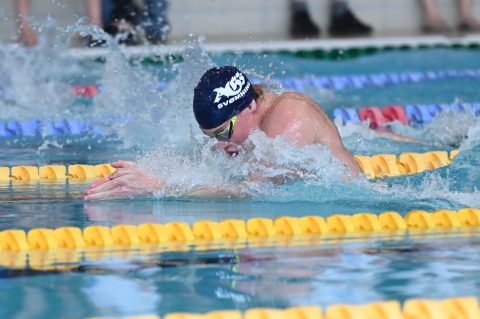 Swimming - Danish Open 2026