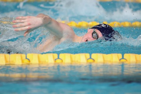 Swimming - Danish Open 2026