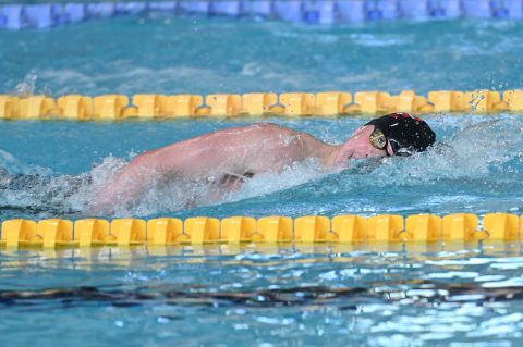 Swimming - Danish Open 2026