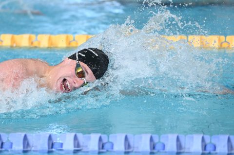 Swimming - Danish Open 2026
