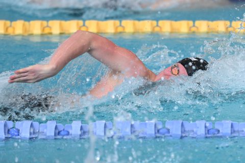 Swimming - Danish Open 2026