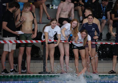 Swimming - Danish Open 2026