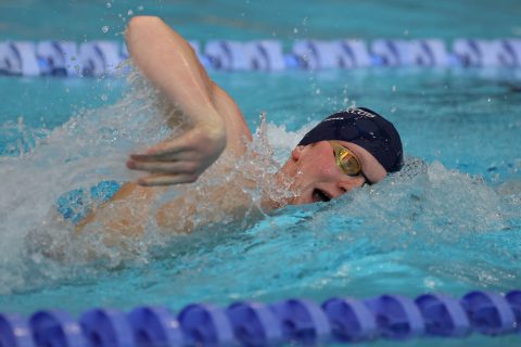 Swimming - Danish Open 2026