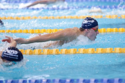 Swimming - Danish Open 2026